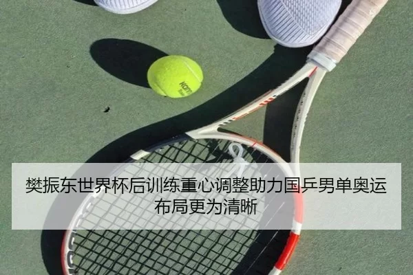 樊振东世界杯后训练重心调整助力国乒男单奥运布局更为清晰