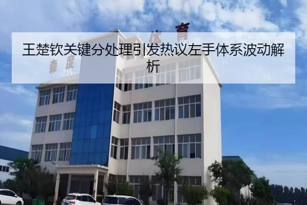 王楚钦关键分处理引发热议左手体系波动解析